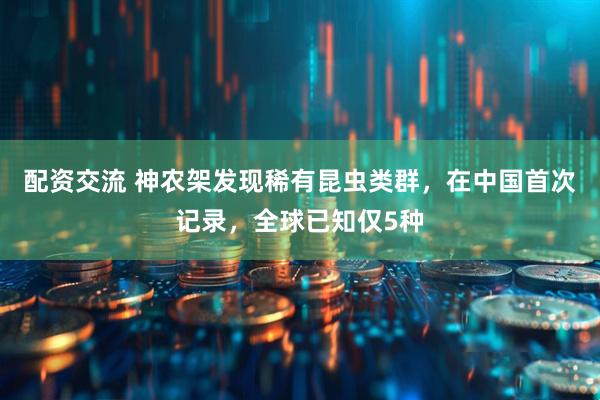 配资交流 神农架发现稀有昆虫类群，在中国首次记录，全球已知仅5种
